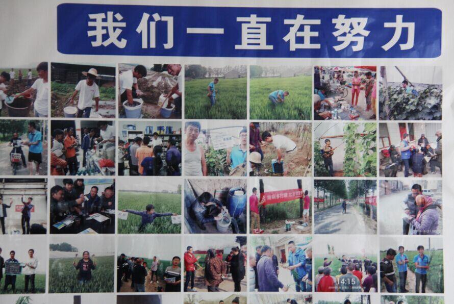 MK官方网页版国内制剂2016年度第一次总结暨市场启动会议隆重召开
